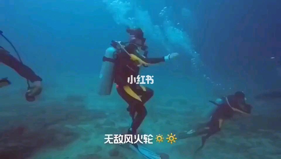 BLD6减速机波箱BLD6-9-22可配功率BLD6-9-15